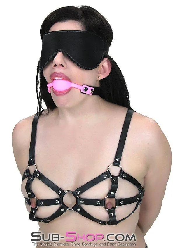 0835M-SIS      Pretty Sissy Boy Bondage Slave Locking Sissy Hypnosis Small Riveted Rubber Ballgag, Pink Ball