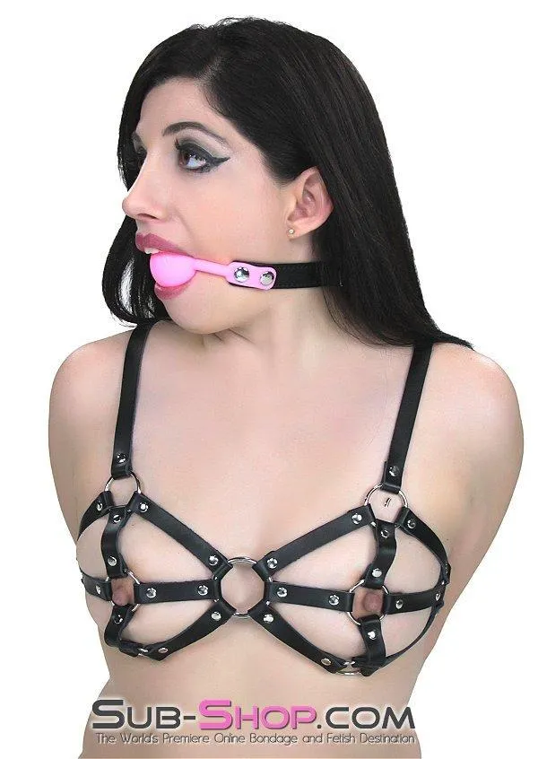 0835M-SIS      Pretty Sissy Boy Bondage Slave Locking Sissy Hypnosis Small Riveted Rubber Ballgag, Pink Ball