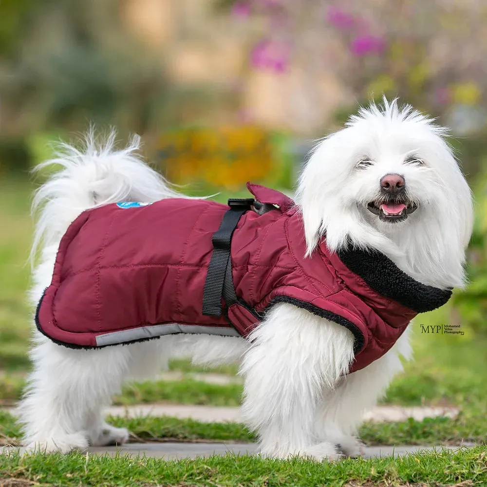 Burgundy Waterproof Coat