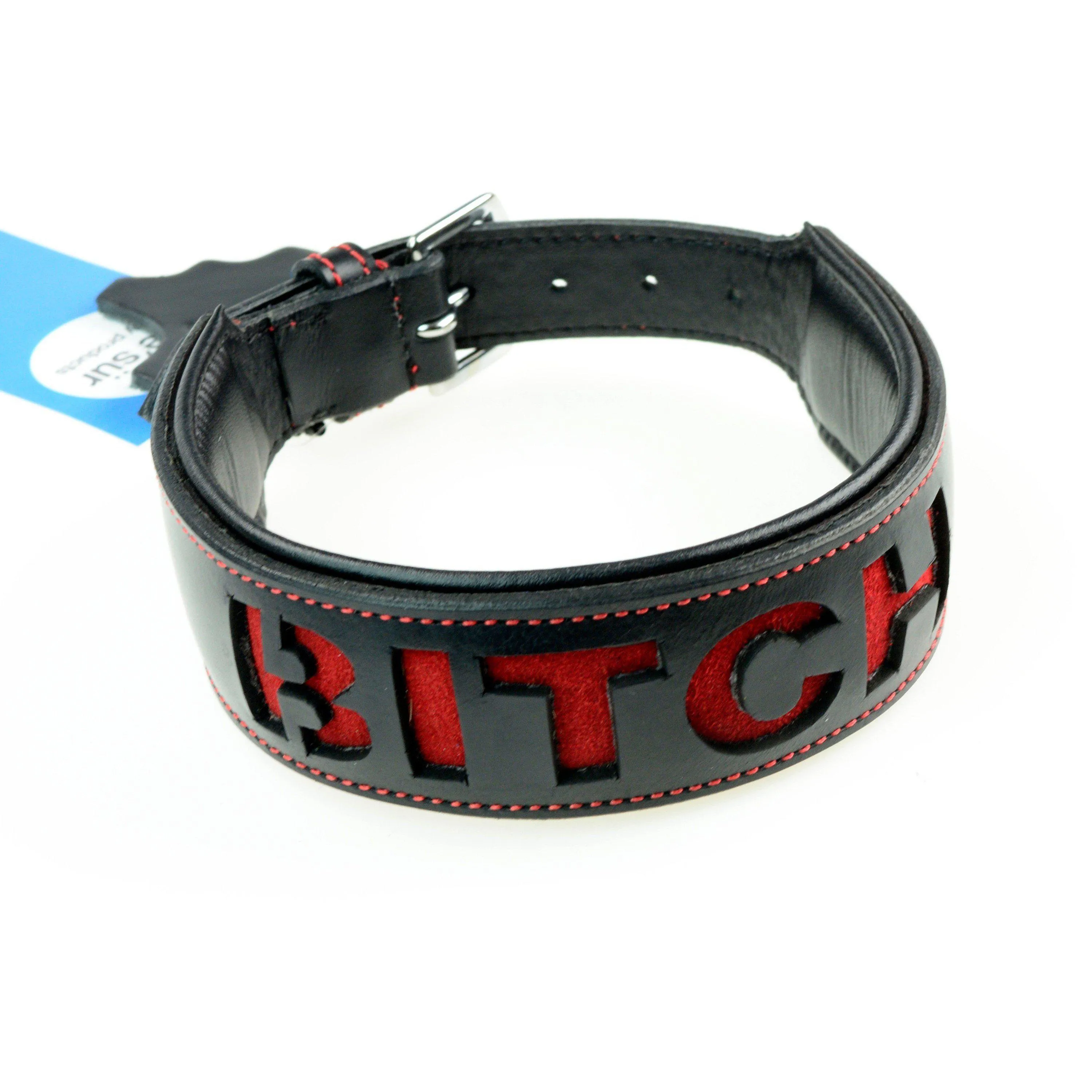 Collar - Leather Slave Collar with reverse - Slut , Bitch, Slave, Pig, Whore (5 options)