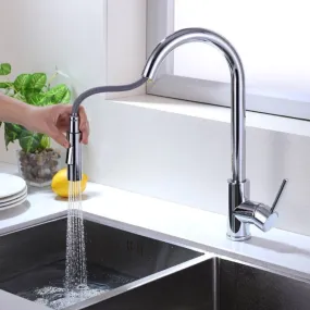 Giving Tree Kitchen Sink Faucet with Pull-out Flushing 360° Swivel Spout