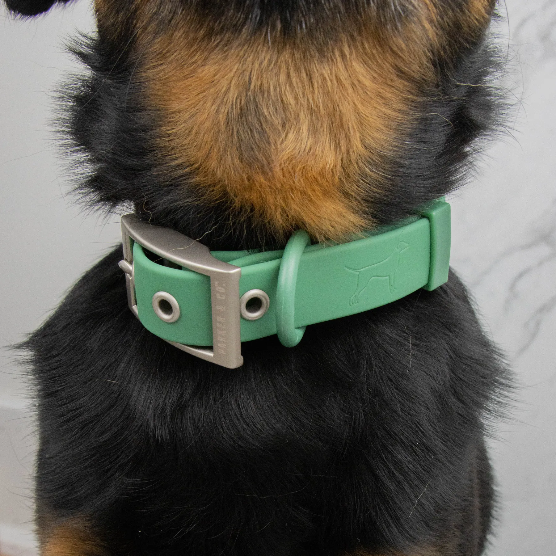 Solace Waterproof Dog Collar