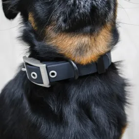 Solace Waterproof Dog Collar