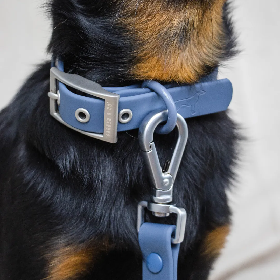 Solace Waterproof Dog Collar