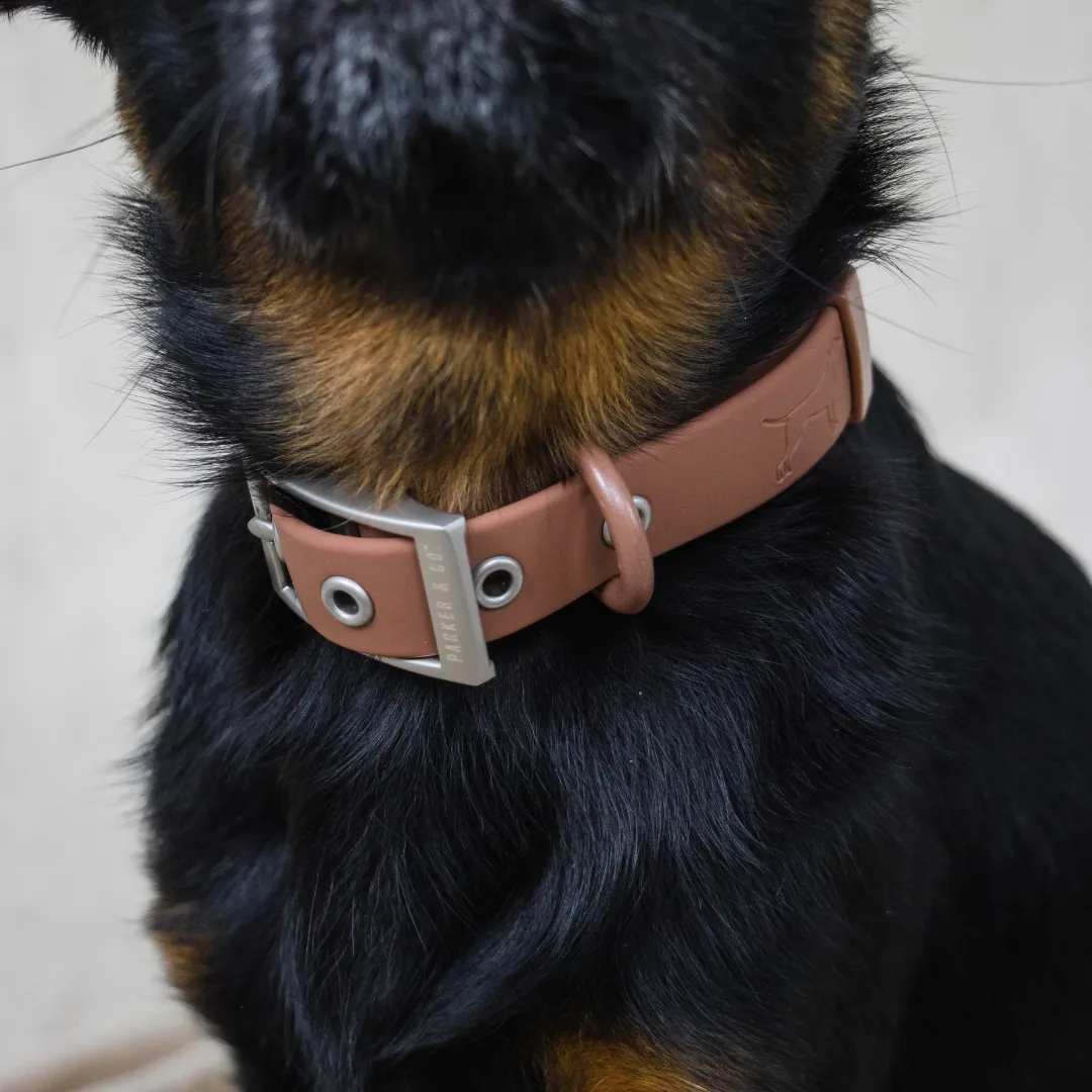 Solace Waterproof Dog Collar