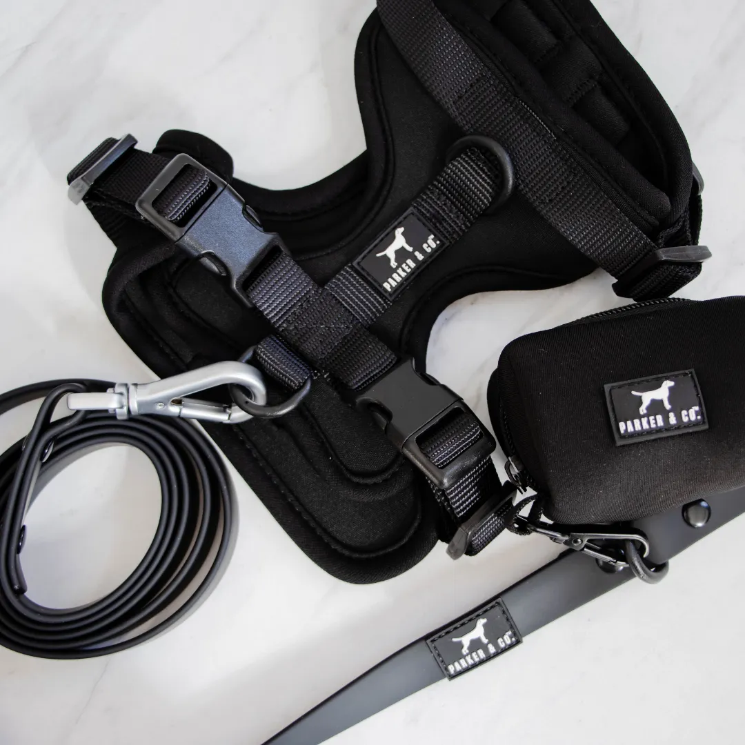 Solace Waterproof Leash